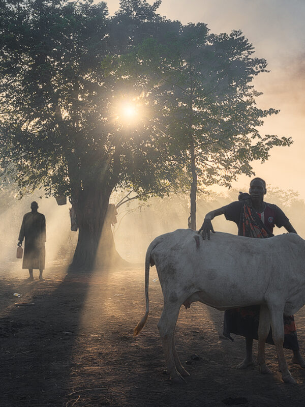 manhattan photo awards 2024 winners